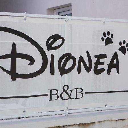 B&B Dionea 圣塔·马里亚·迪·卡斯特 外观 照片